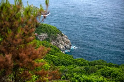 Cliff view over the ocean with trees in the foreground Stock Photos