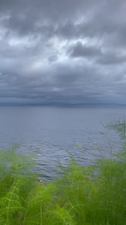 Cliff View Through Plants Overlooking the Pacific Ocean and Storm Clouds Stock Footage 244044710