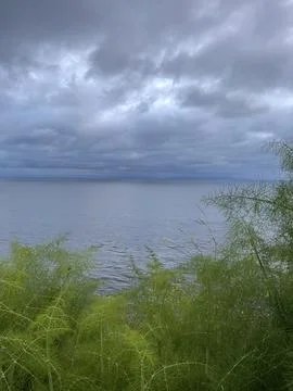 Cliff View Through Plants Overlooking the Pacific Ocean and Storm Clouds Stock Photos