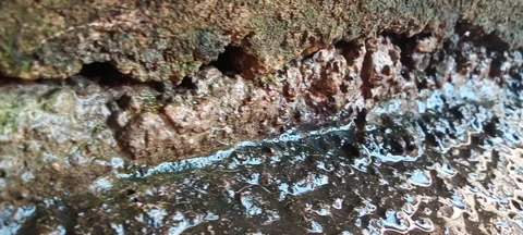 Cliff wall Stock Footage 269587777