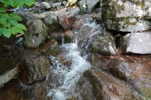 Cliffs above the stream bed and stream bed plant Stock Photos