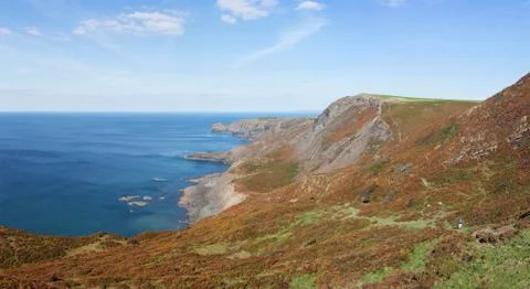 Cliffs and coastline around Crackington Haven in Cornwall, England, UK Foto stock