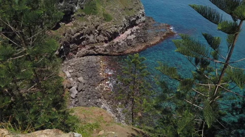 Cliffs and colourful scenery at Point Ross, Kingston, Norfolk Island Stock Footage 149000243