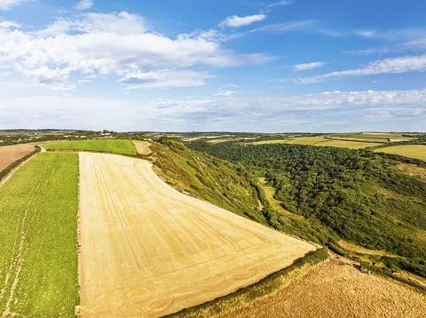 Cliffs and Fields over Welcombe Mouth Beach from a drone, North Devon and Stock-Fotos