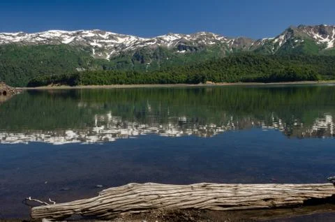 Cliffs and forest reflected on the Conguillio lake. Stock Photos