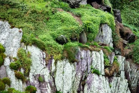 Cliffs and Harbor in Dingle, County Kerry, Ireland Stock Photos