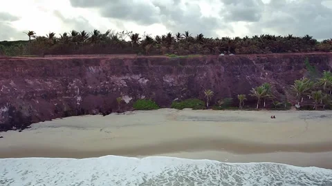 Cliffs and palm trees on Pipa Beach, Rio Grande do Norte, Brazil. 스톡 동영상 314466621
