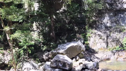 Cliffs and rocks of Minnamurra falls in rainforest of Australia as 4k. Stock Footage 139963534