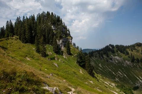 Cliffs and slopes of a mountain covered with forest and green grass in Bavari Stock Photos