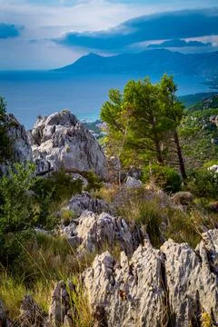 Cliffs and trees Stock Photos