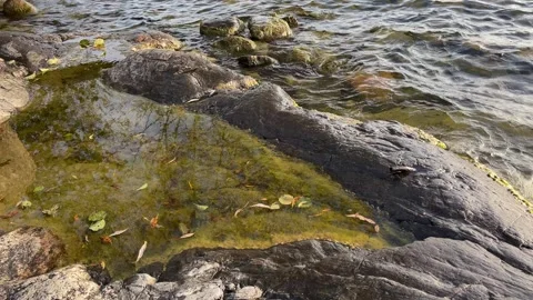 Cliffs and water. Video stock 256106009