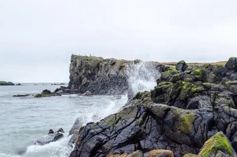 Cliffs and waves 写真素材