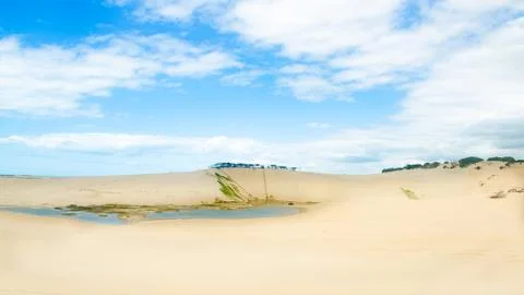 Cliffs at the Canoa quebrada beach at the Ceara 库存照片