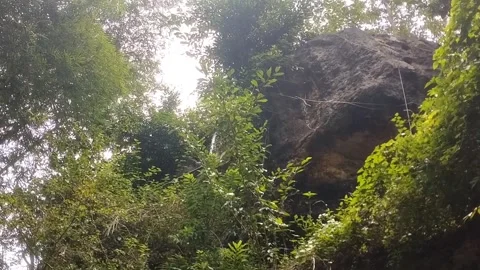 The cliffs of the cave stack above the mouth of the cave Stock Footage 327654479