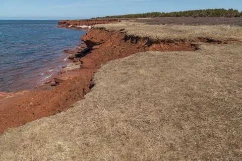 Cliffs at Cavendish Beach PEI Stock Photos