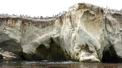  Cliffs, Caves, Rocks, Arches, and Flock of Birds. Video taken from kayak Stock-Footage 136066531