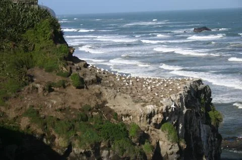 Cliffs &amp; Coast Stock Photos