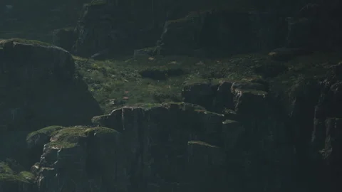Cliffs covered with greenery under bright sunlight in a rocky area Stock Footage 343574958