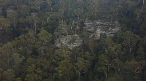Cliffs  in the forest Vidéo 42483330