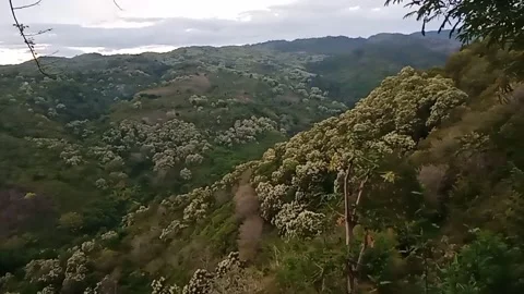 Cliffs Golo Henong 库存影片 218423327