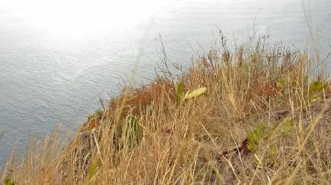 Cliffs in madeira 스톡 동영상 10761665