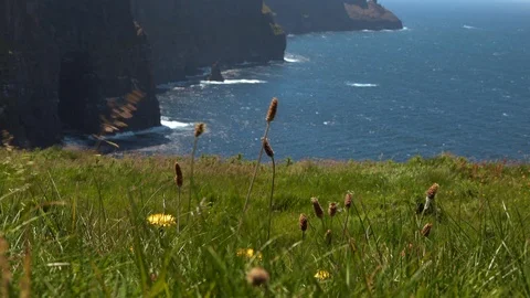 Cliffs of Moher, County Clare, Ireland Stock Footage 101642864