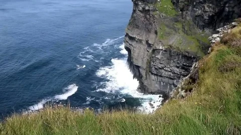 Cliffs of Moher Ireland Stock Footage 75583708
