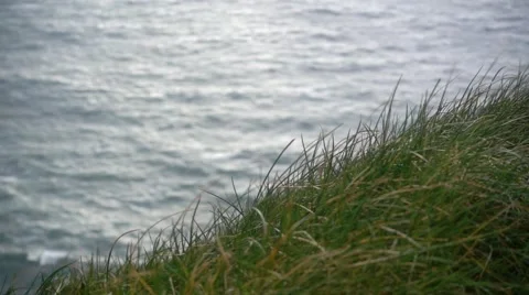 Cliffs of Moher Ocean Grass in Ireland Video stock 66299928