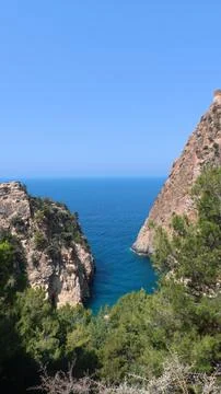 Cliffs ocean trees Stock Photos