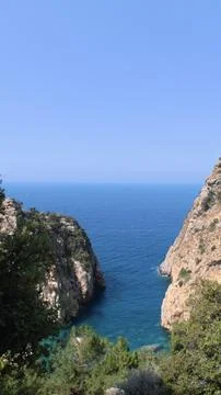 Cliffs ocean trees Stock Photos