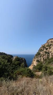 Cliffs ocean trees Stock Photos