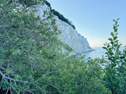The cliffs or rather the slope at Mns Klint Denmark with blue sky and trees.. Stock Photos