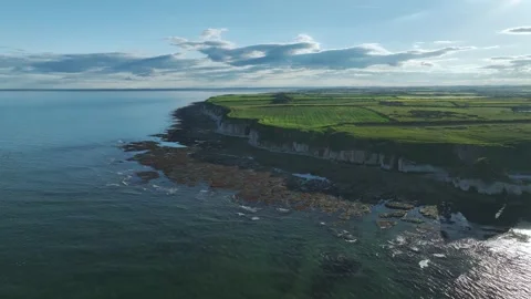 Cliffs over Flamborough Seawatch Observatory, Flamborough, Yorkshire. Englan Vidéo 277424964