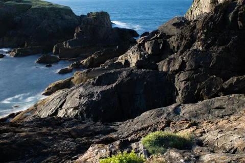 Cliffs over the sea with seagulls Stock Photos