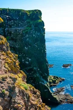 Cliffs overlooking the deep blue ocean Stock Photos