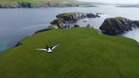 Cliffs Overlooking the Sea. St. Ninian’s Isle Stock Footage 341285221