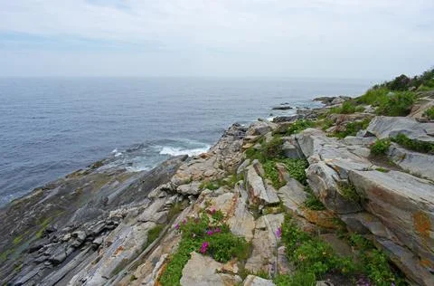 Cliffs at Pemaquid Point -05 Stock Photos