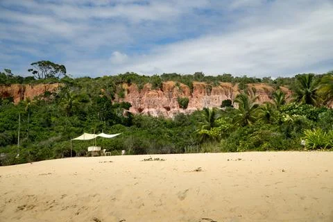 Cliffs Pitinga Beach Brazil Stock Photos