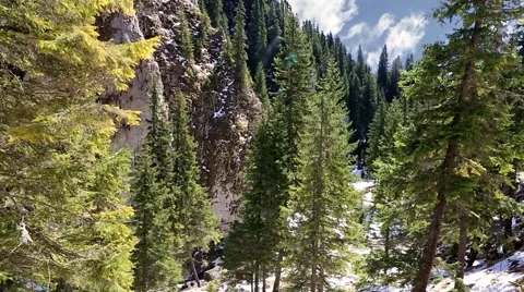 Cliffs rock and tree timelapse mountain Stock Footage 50098671