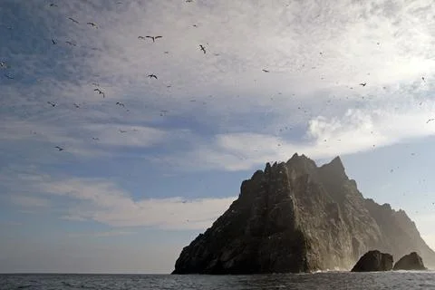 The cliffs of Saint Kilda archipelago, Outer Hebrides, Scotland Stock Photos