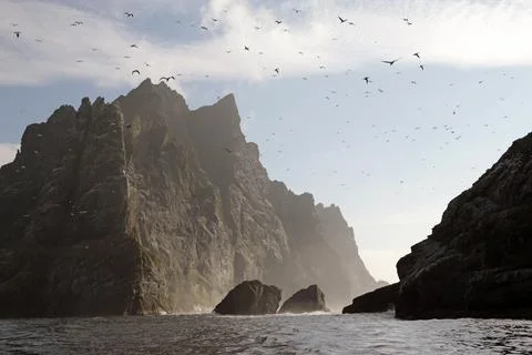 The cliffs of Saint Kilda archipelago, Outer Hebrides, Scotland Stock Photos