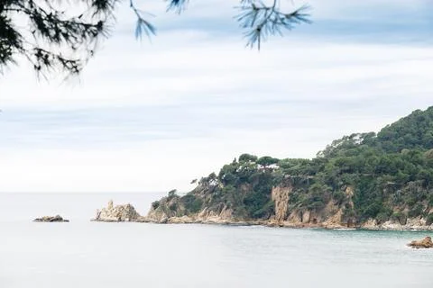 Cliffs with the sea in the background seen from the trees. Stock Photos