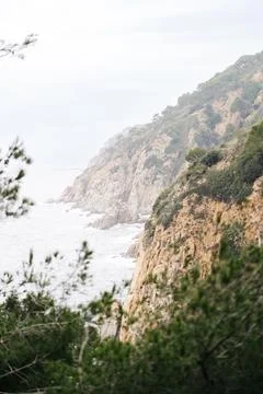 Cliffs with the sea in the background seen from the trees. Stock Photos