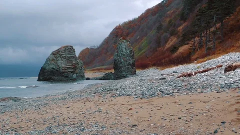 Cliffs on the shore of the ocean  Stock Footage 84005982
