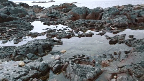 Cliffs on the shore of the ocean  Stock Footage 84005994