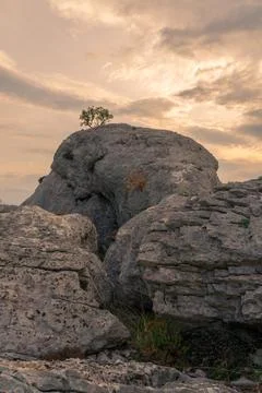 Cliffs in sunset Stock Photos