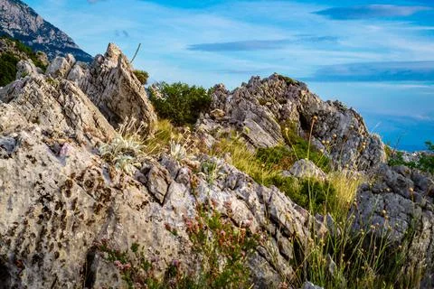 Cliffs in sunset Stock Photos