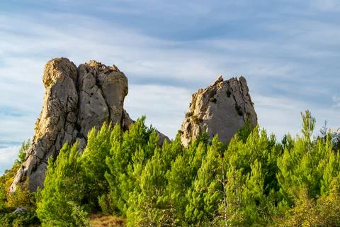 Cliffs in sunset time with trees Stock Photos