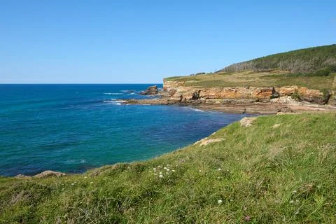 Cliffs surrounded by green vegetation under a blue sky. Stock Photos