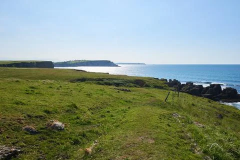 Cliffs surrounded by green vegetation under a blue sky. Stock Photos